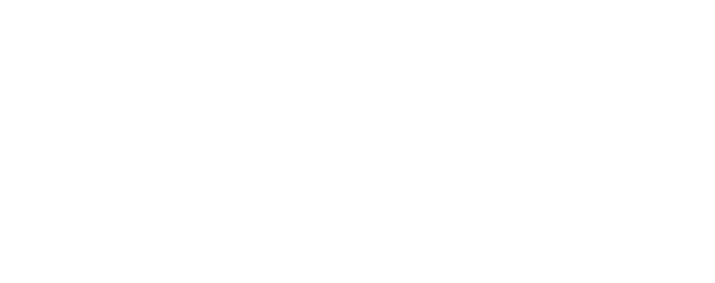 Savic Motorcycles logo white